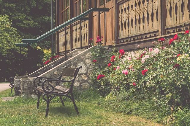 胜利体育app入口官网